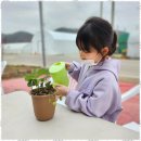 계명대 태양5태권도장 | 대구태권도 내 아이의 자신감을 키운 계명대마스터태권도 후기