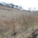 한정리마을회관 이미지