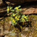 다래산장 이미지