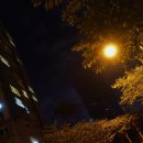 구계휴게소(식당) - 2926 | 구계휴게소(식당)