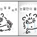 머리자를래