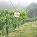 윤성농장 이미지