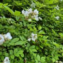 성운부동산중개사무소 이미지