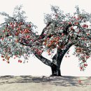 나무 print