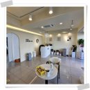 라이프독 강릉점 24시 강아지분양 고양이분양 | 강릉강아지분양 다른 곳 말고 바로 여기 라이프독 강릉점 24시 강아지 고양이