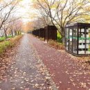 낙동제방 이미지