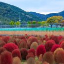 밀양아리나관광안내소 이미지