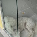 헬로우버디 광교점 이미지