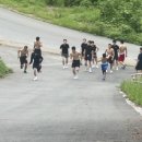 용인대SM복싱클럽 본관 이미지