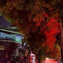 곡성교통 이미지