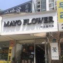마요앤플라워 이미지
