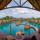 더 포레스트 이미지