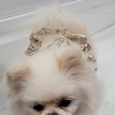 옆집공인중개사사무소 이미지