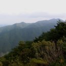 오두목장 이미지