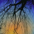 우민아트센터 이미지