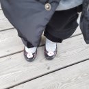 힐링마켓 이미지