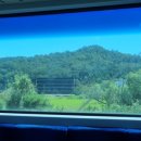 지에스25 양평본점 이미지