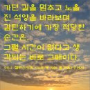 느림의미학