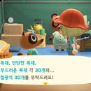해요상점 이미지