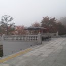 대부천성 이미지