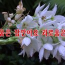 낭송의 즐거움 Daum카페