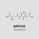 건강과아름다움 이미지