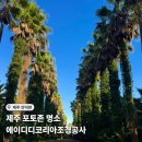 조경농장 | 에이디디 코리아 조경공사 / 제주 수리남 촬영지, 주차장, 영업시간, 대평포구 박수기정 일몰