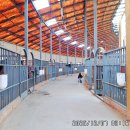 대부도 해솔길 4코스 탐방 이미지