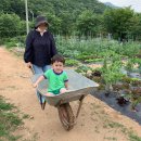 랜선농장 - 김포시 김포한강8로194번길 147 | 랜선농장