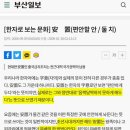 [일반] 安 이 글자를 그 세력들이 쓰는 이유가 뜻이 이거라서? 이미지