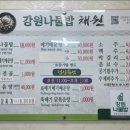 강원나물밥 채원 이미지