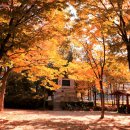 석천근린공원 이미지