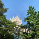 SPRING 행복콘서트 | SPRING BREEZE in CAMPUS 콘서트 후기