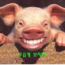 원주족발맛집 이미지