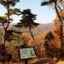 [휴일도보] 11월 26일(일) 장흥 숲길 낙엽 밟기(취소) 이미지