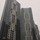 신반포자이아파트 앞 이미지