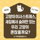두류동물병원 네이버블로그