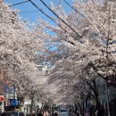 예술스튜디오 | 북카페] 안락한 독서공간, 좋은 커피와 음향기가 있는 문학 - 예술서점 '진부책방스튜디오', 내돈내산 후기