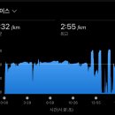 2025 군산 새만금 마라톤 대회 [10km 커플런 3위] 후기