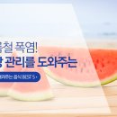 여름철 폭염! 건강 관리를 위한 열 내리는 음식 BEST 5 이미지