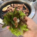 여주-0093 | 원주 지정면 출렁다리맛집 호박꽃필무렵 막국수 제주흑돼지 국밥 후기