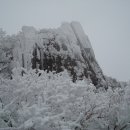 (제41차) 1월 무등산 (1186.8m)정기 눈꽃산행 이미지