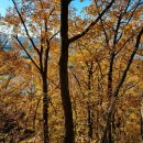 성진목장 이미지