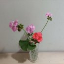 사하구-50 이미지
