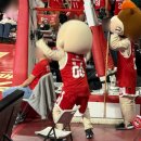 SK대구가스충전소 | 24-25 프로농구 KBL 3라운드 | 250107 | 서울 SK 나이츠 vs 대구 가스공사 페가수스 직관 후기