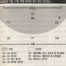 아덴성 pc방 Daum카페