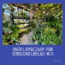 [청라] 나만알고싶은 카페 르쁘띠쟈뎅 내돈내산 후기