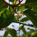 방우농장 이미지