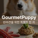 퍼피맘마 이미지