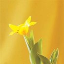 원산사우나 이미지